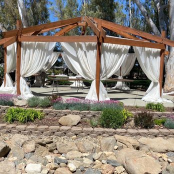 Starlight Grove Events