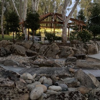 Starlight Grove Events