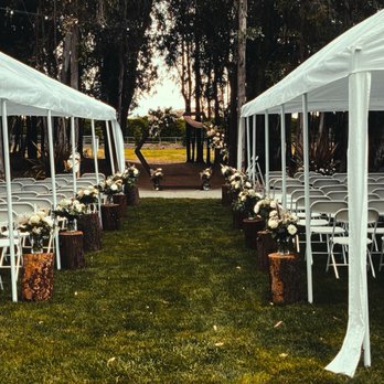 Starlight Grove Events