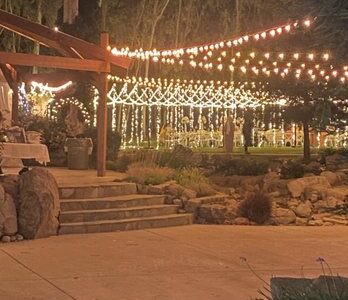 Starlight Grove Events