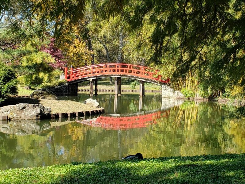 Memphis Botanic Garden