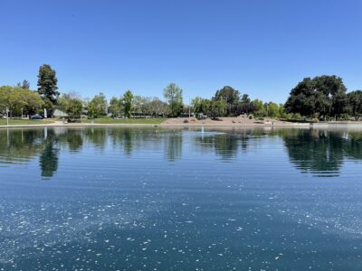 Sunnyvale Community Center