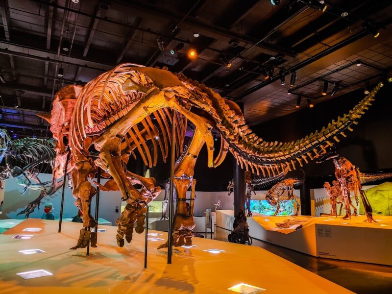The Houston Museum of Natural Science