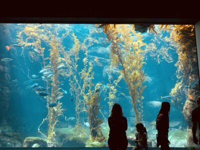 The Birch Aquarium