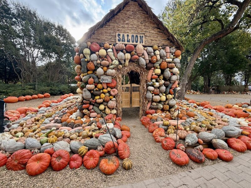 The Dallas Arboretum