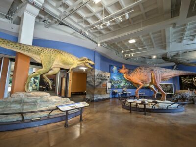 The San Diego Natural History Museum