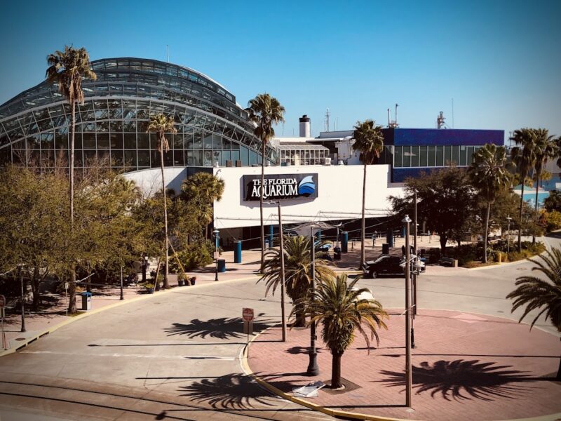 The Florida Aquarium