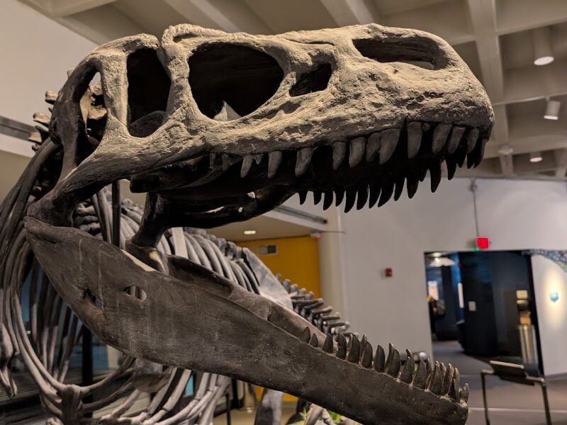 The Museum of Science and History