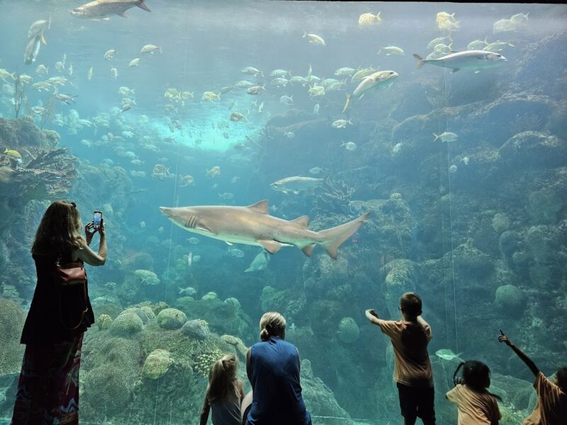 The Florida Aquarium