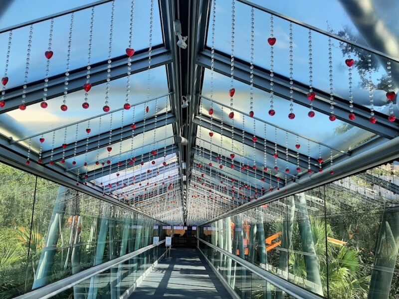 The Orlando Science Center