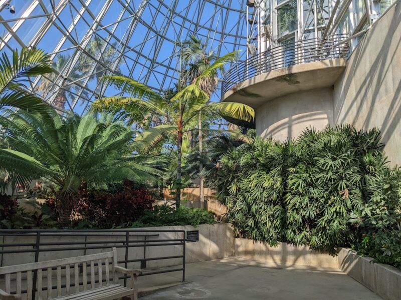 The San Antonio Botanical Garden