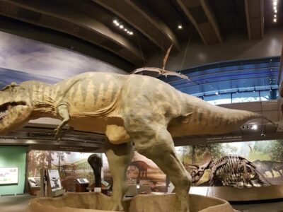 The Museum of Science