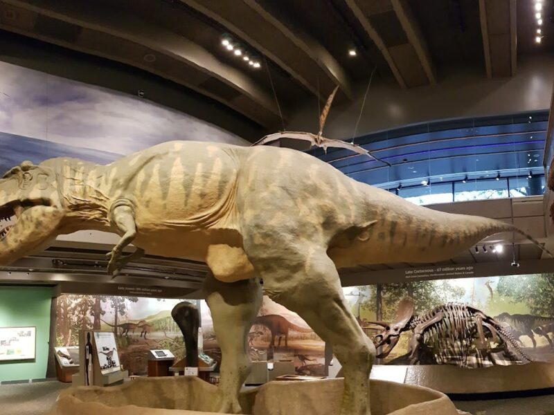 The Museum of Science