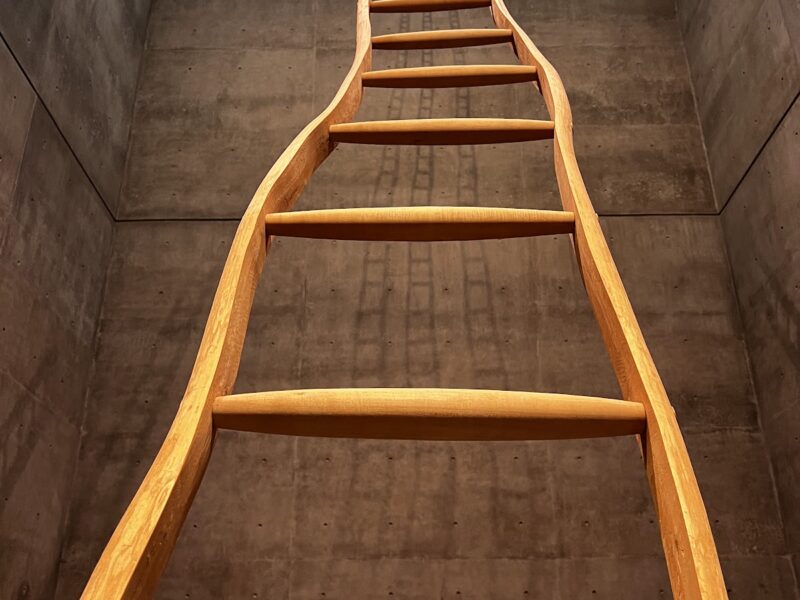 The Modern Art Museum of Fort Worth