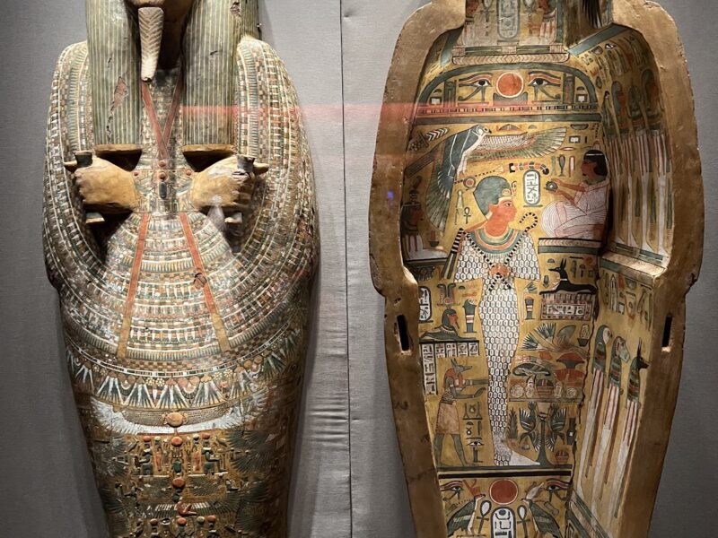 The Houston Museum of Natural Science