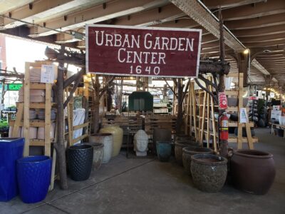 The Urban Garden