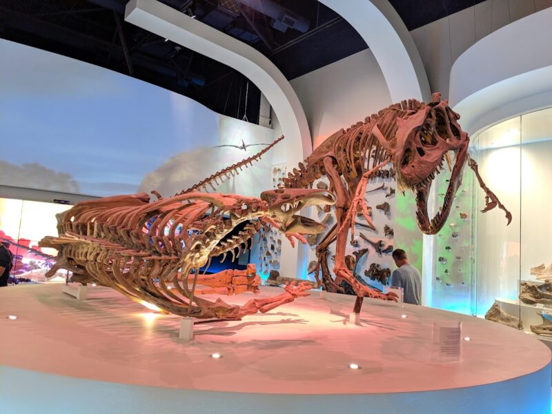 The Fort Worth Museum of Science and History