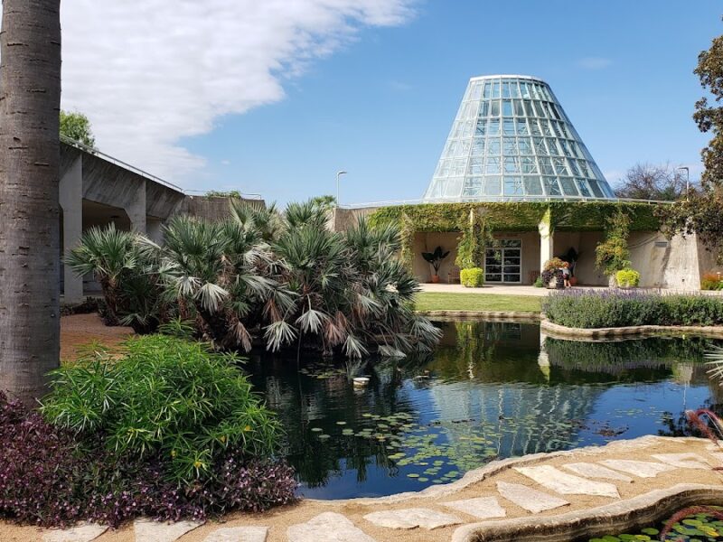 The San Antonio Botanical Garden
