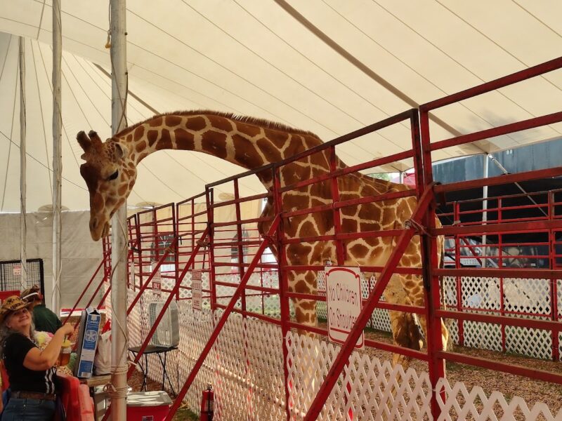 The Florida State Fairgrounds