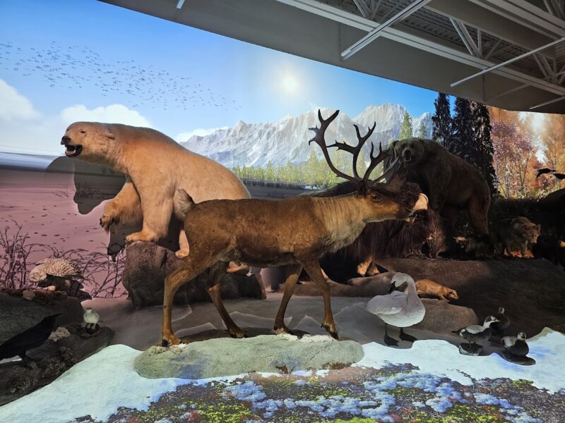 Cleveland Museum of Natural History