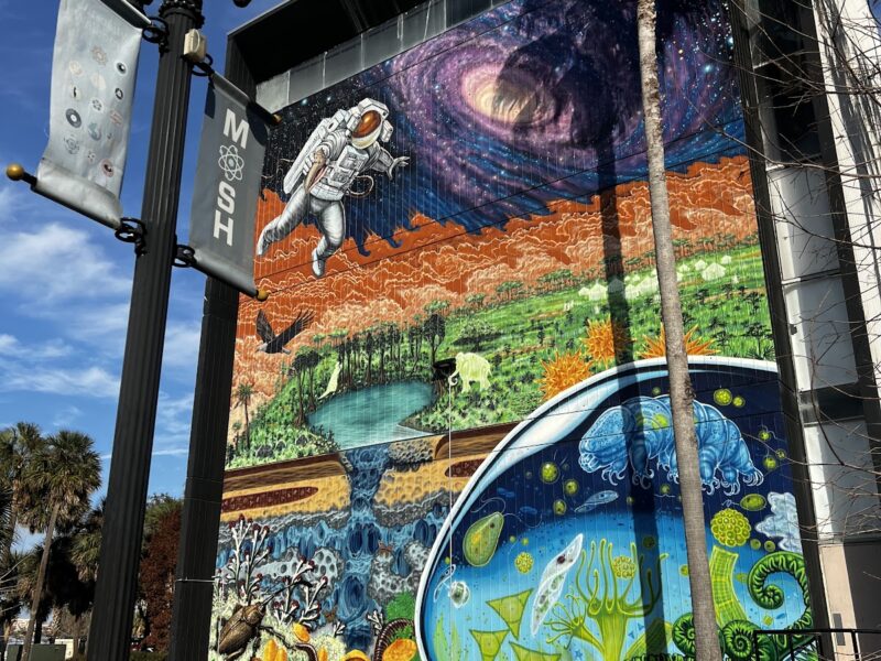 The Museum of Science and History