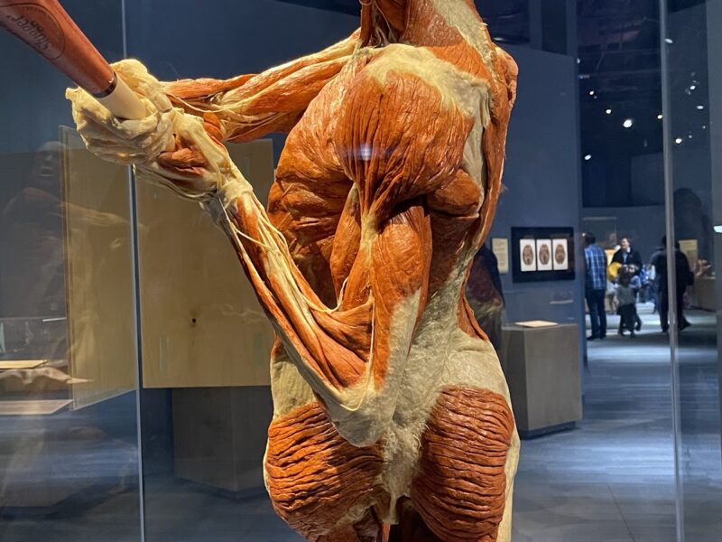 The Tech Interactive