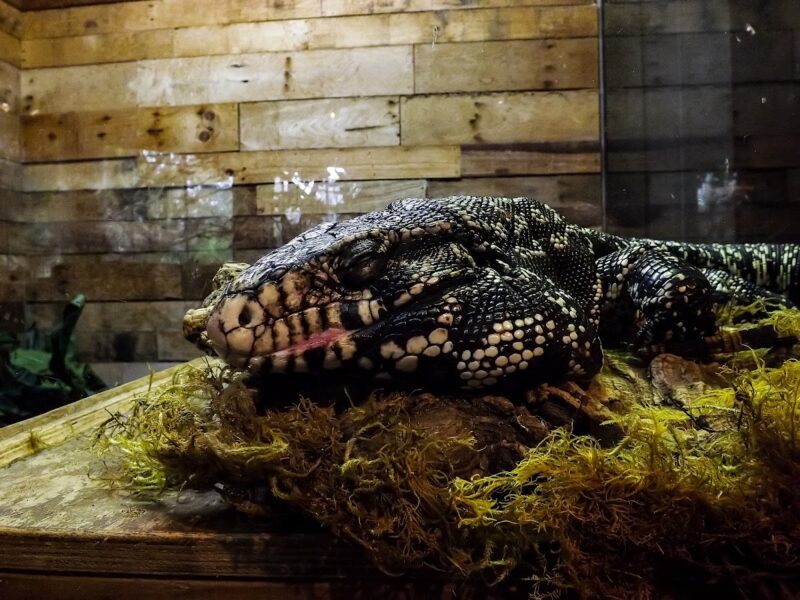 The Orlando Science Center