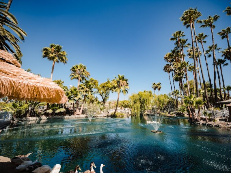 The Palm Oasis Event Center