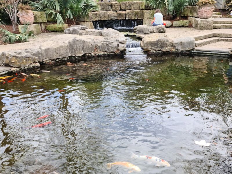 The Dallas Arboretum