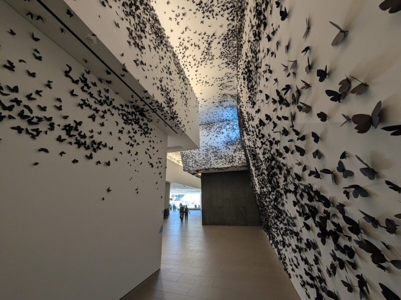 The Phoenix Art Museum