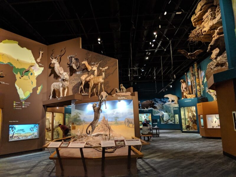 Cleveland Museum of Natural History