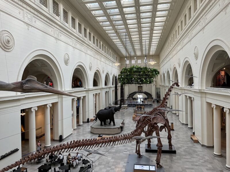 The Field Museum