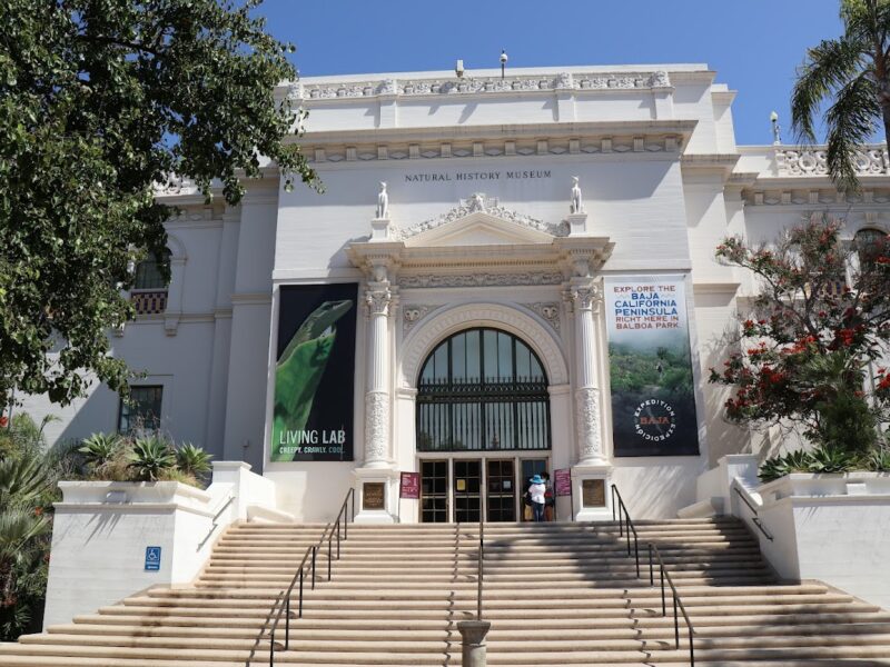 The San Diego Natural History Museum