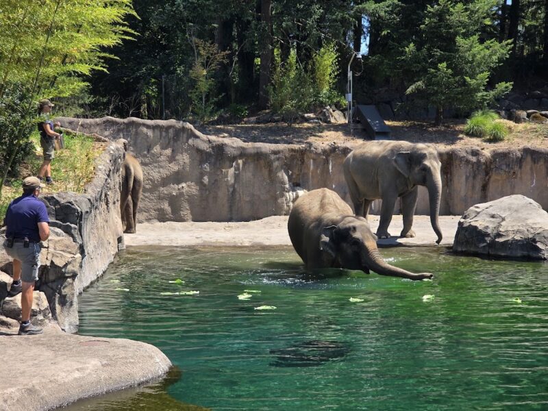 Oregon Zoo