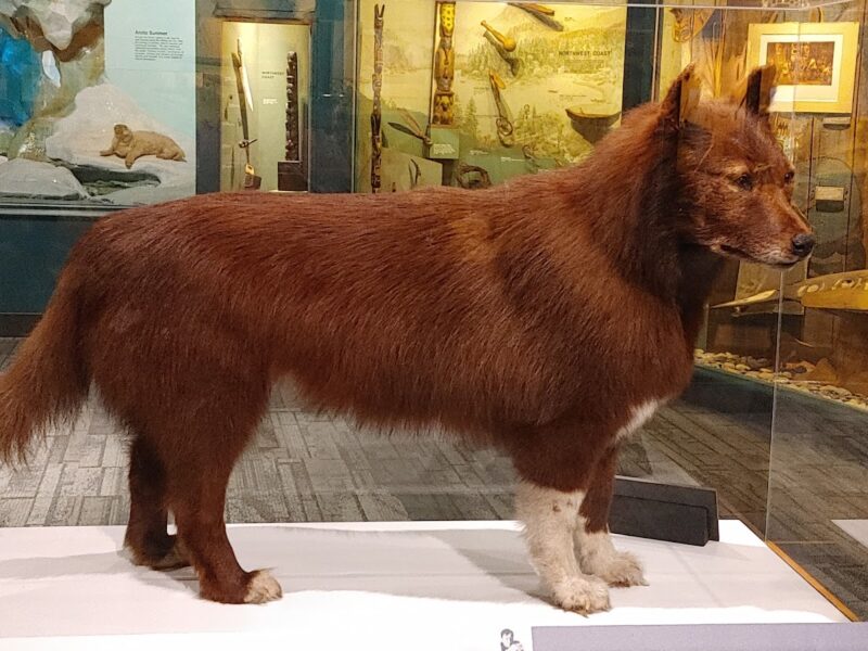 Cleveland Museum of Natural History