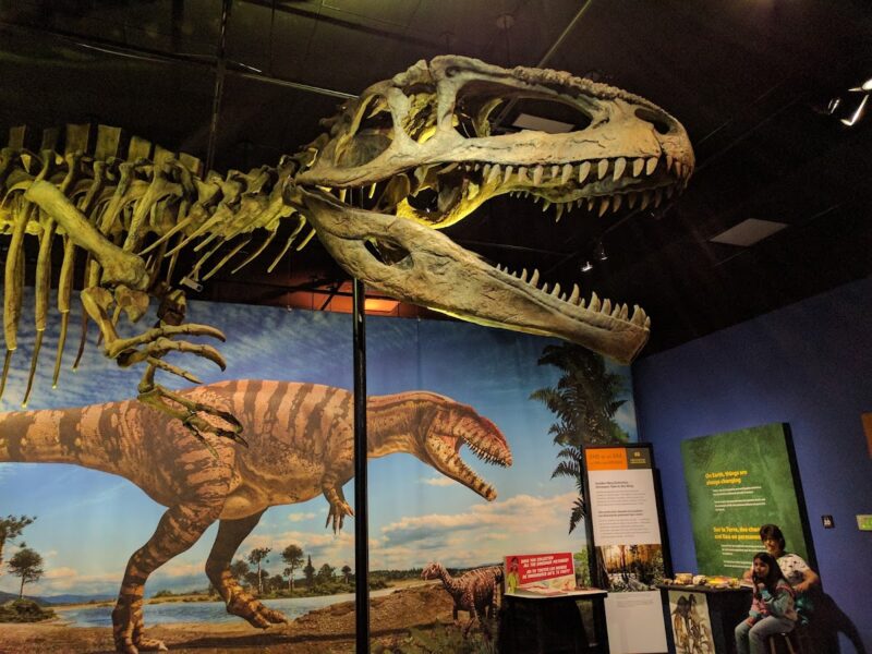The San Diego Natural History Museum
