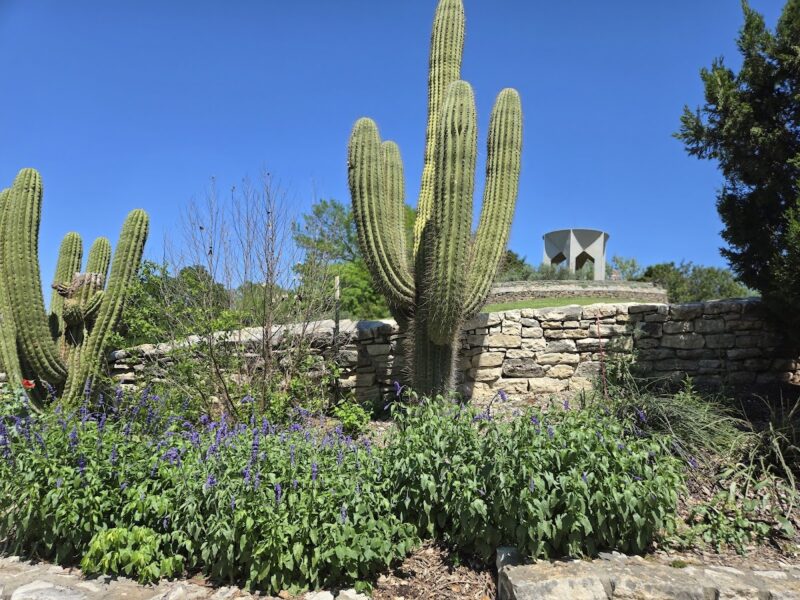 The San Antonio Botanical Garden