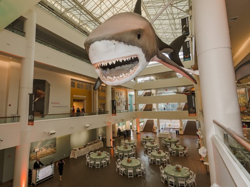 The San Diego Natural History Museum