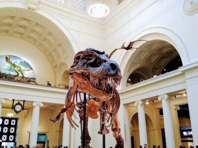 The Field Museum