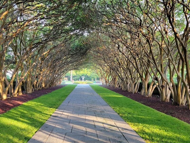 The Dallas Arboretum