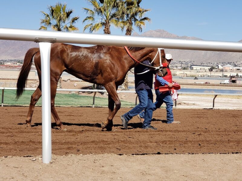 Sunland Park Racetrack & Casino