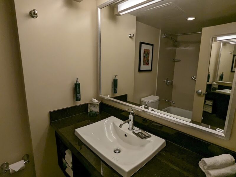 The Anaheim Hilton