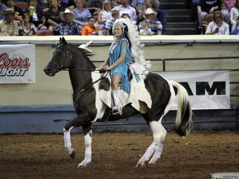 The Oklahoma State Fair Park