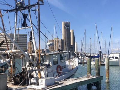The Corpus Christi Marina