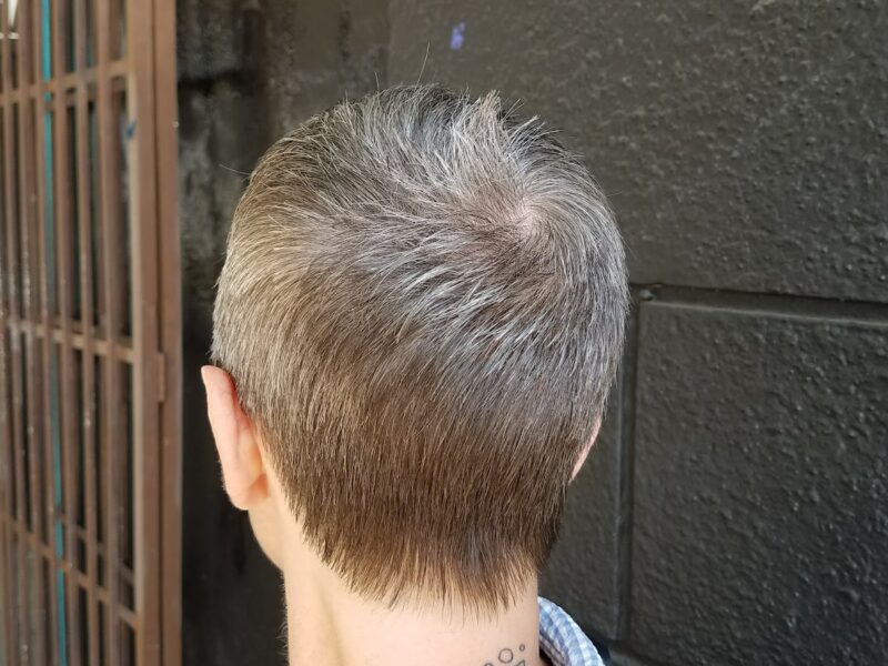 The Silverlake Studio