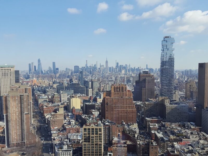 The New York Academy of Sciences