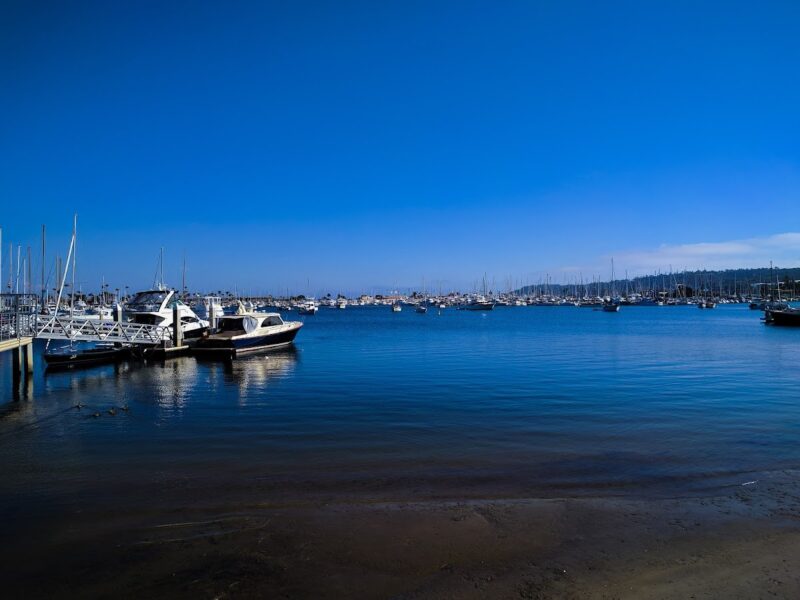 The San Diego Yacht Club