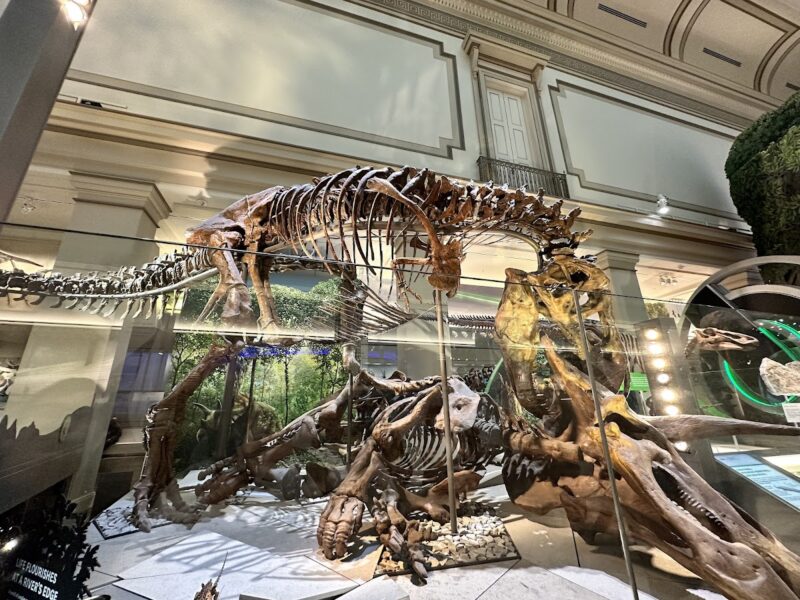 The Smithsonian National Museum of Natural History