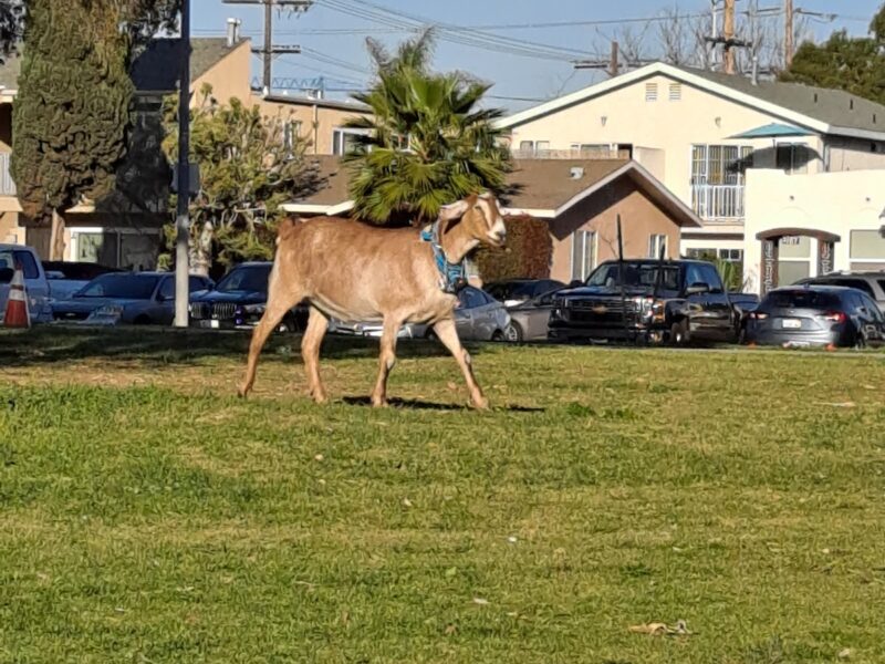 The North Park Event Space