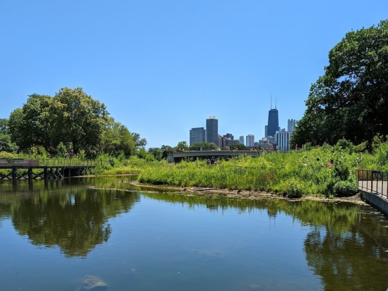 The Lincoln Park Zoo
